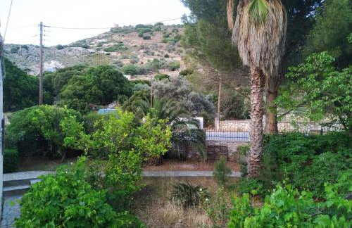 Dreamcatcher of Zeus - Foto 27