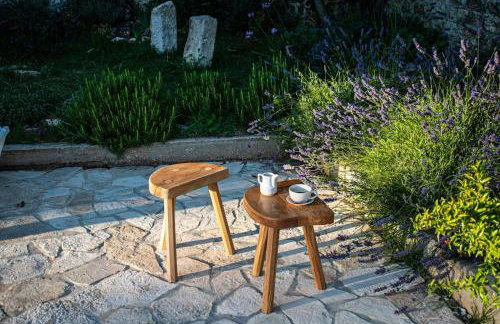 Stone House Kula Milica - Foto 37