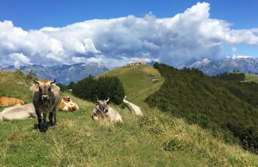 Casa del Piol Fattoria dei fiori - Photo 36