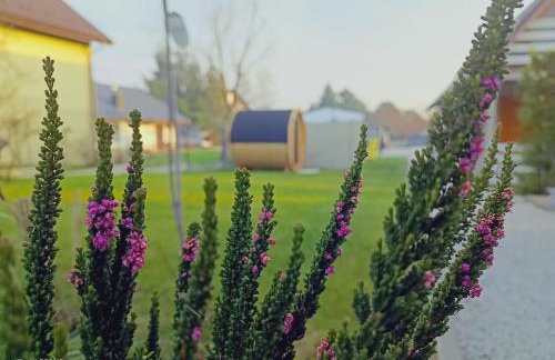 Domki nad jeziorem Widokówka Zarzecze - Foto 58