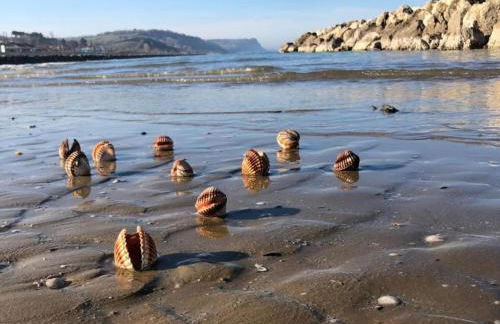 Holiday Home in Fano near Adriatic Sea - Foto 39