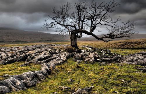 Winskill Cottage - Foto 25