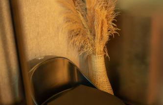 Cabana Tekoá - Teto de vidro e telão de cinema - Foto 33