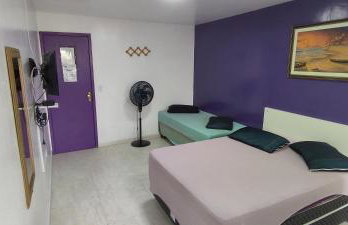 Guest House Renascer K&W - Foto 68