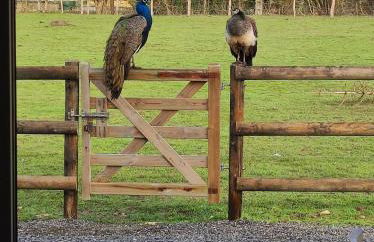 LE GITE ADORE - Foto 9