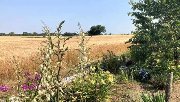 "Asya" - 600m from the sea - Foto 5, View