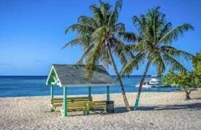 S2A Blue Pavilion - Beach Transfers Meals Tours Island Retro Chic - Photo 30