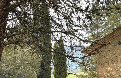 Agriturismo, Casa Borgo - Foto 57