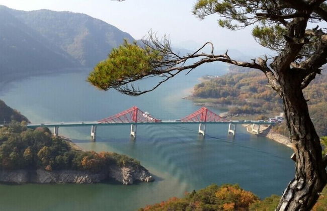 Chamjoeun pension - Foto 29