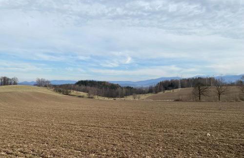 Grudza83 Bikepoint - Foto 53