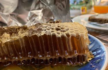 Agriturismo Terre Rosse Portofino - Foto 50