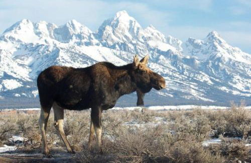 Beautiful Mountain Condo - Foto 46