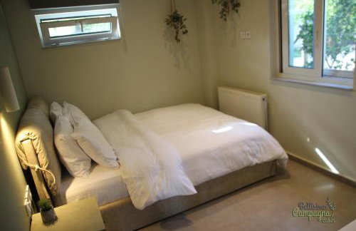 Bellisima Campagna Cabin Pelekapina - Chania Crete - Foto 27