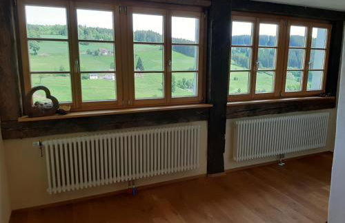 Schwarzwaldblick - Foto 16