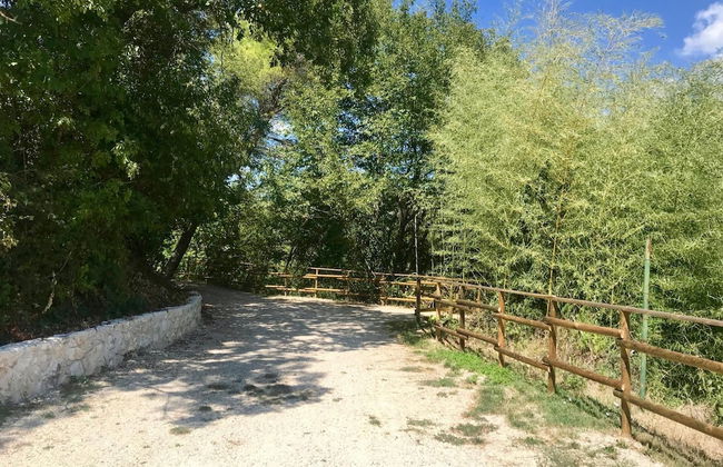 Alloggio Rurale - Foto 52