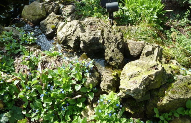 Am Rosengarten Comfortable Holiday Residence - Foto 17