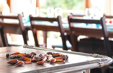 Rancho do Canarinho, Fogão à Lenha, 4QT com Vista - Foto 49