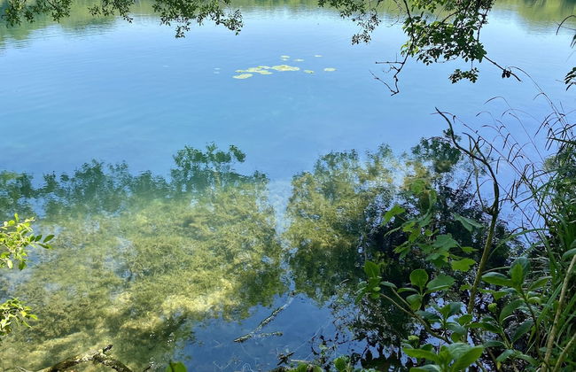 Tresowes Green Cottage - Foto 51