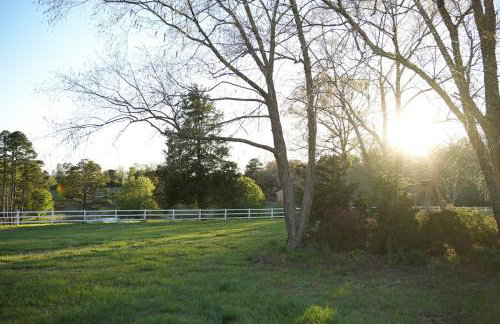 In the Woods by a Pond! Sugar Ranch Guest House! - Foto 41