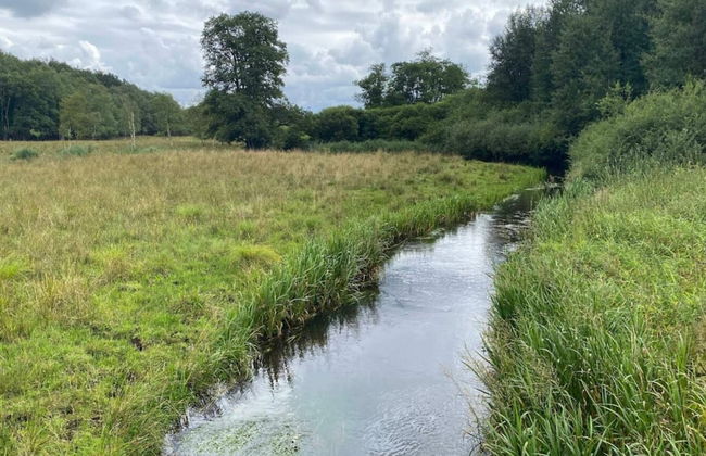 5 Star Holiday Home in Hovborg - Foto 50