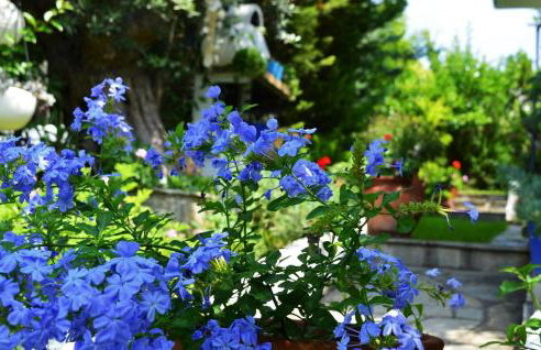 Sonia's House with Garden - Foto 40
