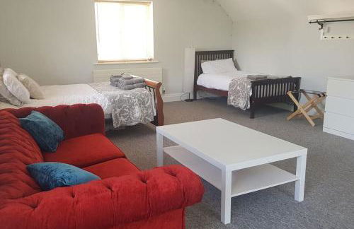 Peaceful self contained Studio in lovely garden. - Photo 6