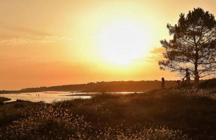 Le Clos de la Guittiere - 6 personnes - Foto 29