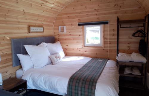 Camhanaich 'Half light of dawn' - Foto 10