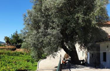 Quinta da Vinha Velha - Foto 4