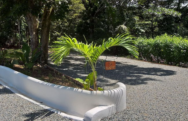 Villas Octogoña - Foto 53