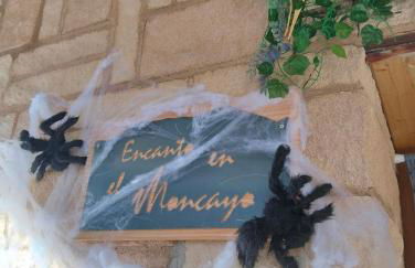 Encanto en el Moncayo - Photo 11