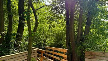 Domy nad Strugą - jacuzzi, las, wieś, rowery, kajaki - Foto 4, Garden view