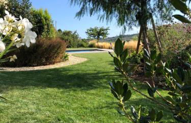 Laserrafelice - Photo 10