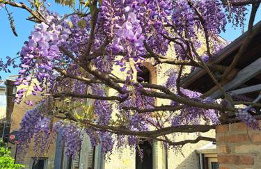 Casadesergio - Photo 57