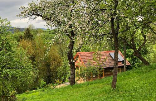 Góralskie domy w Łostówce - Foto 44