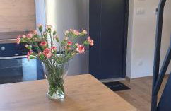 Wierzchy 34 - Photo 16