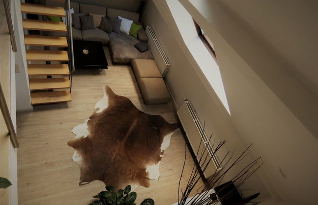 Villa Einstein Apartments - Photo 5