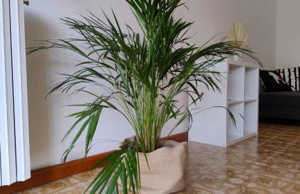 La Casa di Giulia - Foto 10