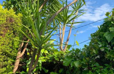 Georgia's House Sykia - Foto 15