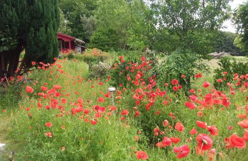 Haus Rosengarten- Ruhige Ferienwohnungen im Grünen - Foto 56