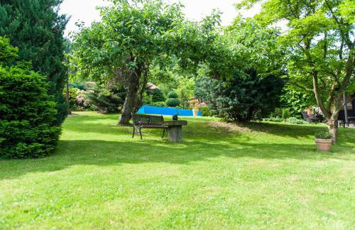 Agroturystyka Wzgórze Magnolii - Foto 27