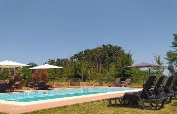 San Ruffino Apartments - Photo 13