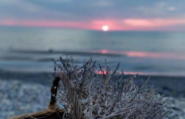 La Baigneuse maison avec jardinet et parking privé, à 200 m plage - Foto 43