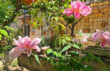 Residenza Magister - Photo 10