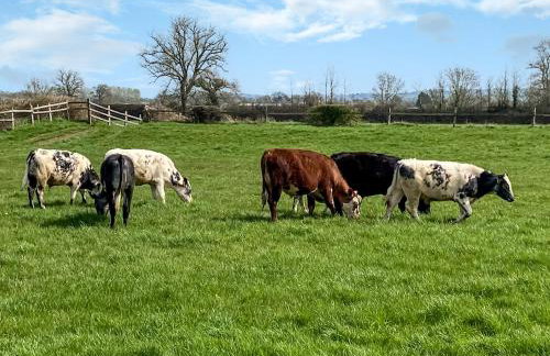 Bee Cottage - Foto 31