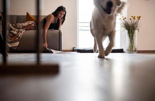 Sambucus Apartments -Premium Apartments for You and Your Dog - Photo 7