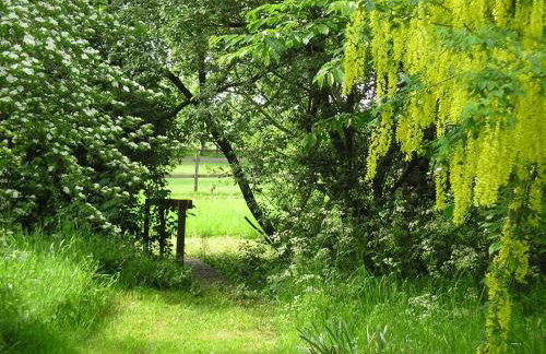 3 Bed in All Saints South Elmham oc-sfspw - Foto 13