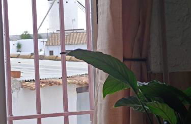 Calle Yelmo de Mambrino 19 - Foto 8