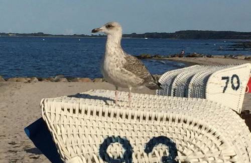 Haus Hamburg Wohnung 2 - Foto 45