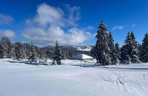 Appmt 4 pers aux pieds des pistes - Foto 13